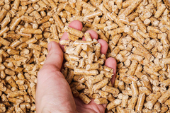 Pelet sve skuplji u Njemačkoj, pogledajte koliko košta