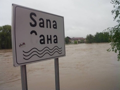 Una porasla za dva metra, raste i Sana