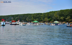 Otkazana "Savska regata"