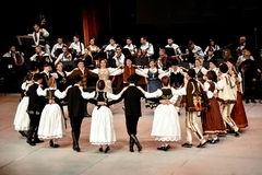 Koncert „Preko Save i Dunava” u Bijeljini