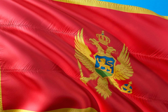 Knežević: U slučaju usvajanja rezolucije BiH može podnijeti tužbu protiv Crne Gore