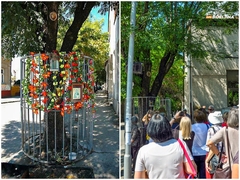 Mnogi još pamte čudo u Bijeljini: Okupljali se ispod drveta i ostavljali novac, dolazili i ljudi iz drugih krajeva (FOTO)