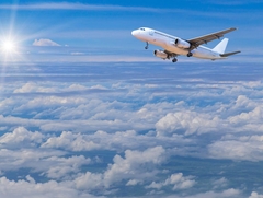 Putnici napravili haos, avion morao prinudno sletjeti