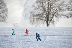 Ovo je jedno od najjeftinijih skijališta u Srbiji: Besplatna ski škola za djecu