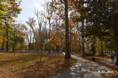 U prvom dijelu dana oblačno i tmurno, poslije podne sunčanije