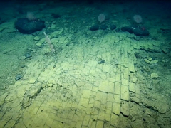 Arheolozi tvrde da su pronašli Atlantidu po Platonovom opisu