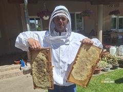 Đorđići iz Semberije obrađuju 20 hektara, imaju farmu bikova, svinje, ovce i pčele: Nigdje kao u zavičaju (FOTO)