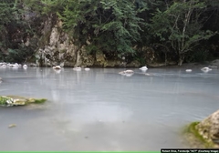 Ekološka kriza jedne od najčistijih rijeka u BiH, zbog gradnje hidroelektrane "Ulog": Neretva između mulja i života