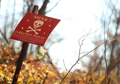 BiH neće biti bez mina ni do 2027. godine – deminiranje zavisi od donatora