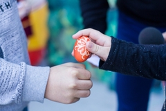 U Bijeljini održana 30. "Jajarijada"