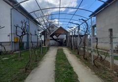 Kesica otrova nađena u blizini kuće u kojoj su ubijeni mališani, ispituje se UZROK SMRTI