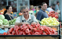 PAPRIKE u Semberiji IMA, ali KUPACA NEMA: Povrtari zadovoljni prinosom i kvalitetom, ne i prodajom