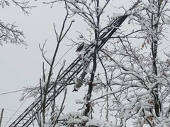 Zvornik: I dalje problemi sa snabdijevanjem električnom energijom