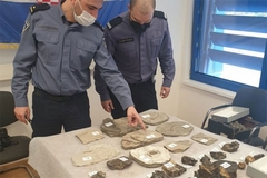 Pokušao iz BiH prokrijumčariti fosile neprocjenjive vrijednosti