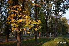 Danas pretežno sunčano