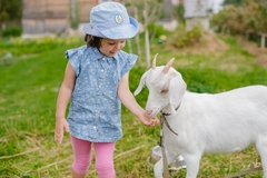 Bebama na selu 1.000 KM podrške