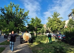 Bijeljina: Nastavljeni radovi na uređenju i održavanju zelenih površina