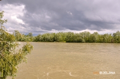 Izvještaj o stanju vodotoka na području Semberije, Drina u znatnom porastu