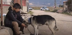 Pas spasio život dječaku: Reagovao je kao čovjek (VIDEO)