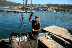 Uzgojom ribe u Srpskoj moći će da se bave i fizička lica