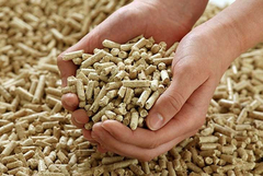 Pala tražnja za peletom