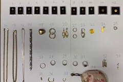 Uhapšen državljanin BiH u Beču: Krao ključeve i odnosio zlato penzionerima