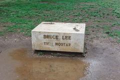 Uhapšen kradljivac statue Brusa Lija