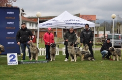 DUGA I USPJEŠNA TRADICIJA UZGOJA PASA Kinološko udruženje „Semberija“ domaćin dvije državne izložbe