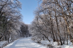 Meteorolog otkriva da li će biti snijega za Božić