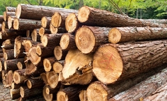 Poznat identitet poginulog radnika iz BiH u Italiji