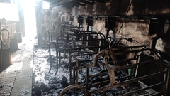 ŠTETA OGROMNA Uglednom semberskom farmeru vatra progutala prasilište sa 13 krmača i 120 prasadi