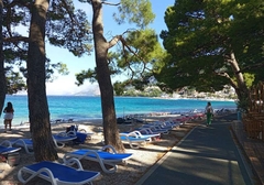 "Zarađujem dobro, ali jedem paradajz i paštetu" Poruka Hrvata o turistima koji ljetuju u njegovoj zemlji