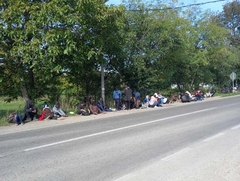 DESETINE MIGRANATA u Kojčinovcu kod Bijeljine (FOTO)