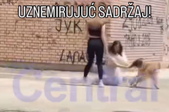 Uznemirujući snimak iz školskog dvorišta u Srbiji: Pas napao djevojku (VIDEO)