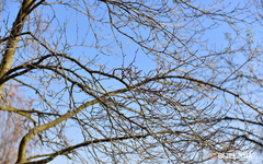 Sutra u Srpskoj oblačno i toplo