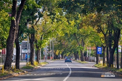 Bijeljina: U dvije ulice ulažu 12,6 miliona KM, Račanska će biti potpuno rekonstruisana (FOTO)