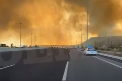 Vatra u Grčkoj guta kuće i automobile, vatrogasci se bore da obuzdaju stihiju