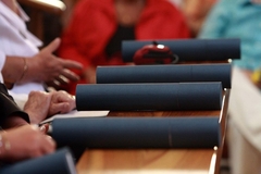 Austrijska ministarka pravde porijeklom iz BiH plagirala doktorat