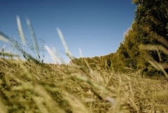 Danas promjenjivo oblačno i sunčano, ponegdje kiša