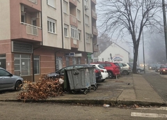 “Komunalac” Bijeljina: Badnjacima nije mjesto pored kontejnera, donesite ih nama (FOTO)