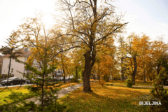 Danas sve više sunčanih perioda i toplije