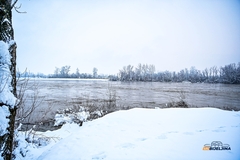 Na većini rijeka u Srbiji opadanje vodostaja