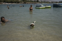 Najmanje 116 ljudi završilo u bolnici nakon kupanja u popularnom ljetovalištu