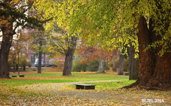 Tmurno i hladno narednih dana: Ovo su maksimalne temperature koje možemo očekivati