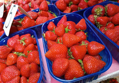 Kako da razlikujete DOMAĆE JAGODE od uvoznih