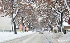 Do 12. februara NATPROSJEČNO TOPLO, a evo šta nam donosi sredina mjeseca