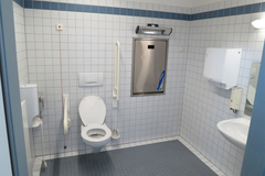 Hit snimak iz BiH: Majstor montirao vodokotlić na neubičajeno mjesto (VIDEO)