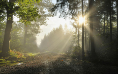 Sutra sunčano, temperatura do 19 stepeni celzijusovih