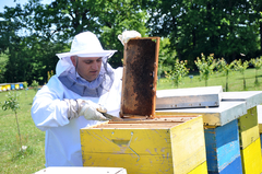 Pčelarsko domaćinstvo Lukić iz Bijeljine: Za nas je pčelarenje više od hobija (FOTO)