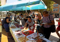 TAKMIČENJE U BRATUNCU Nagrade za najbolje kolače od malina